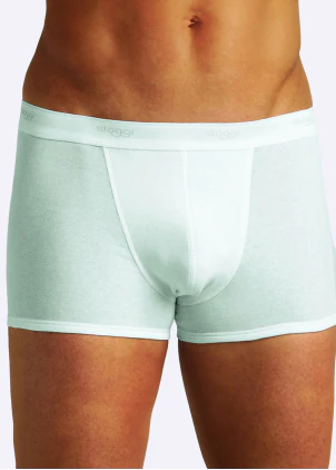 SHORTY - ILEUS-1