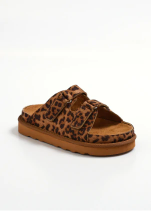 MULES - MAR5261